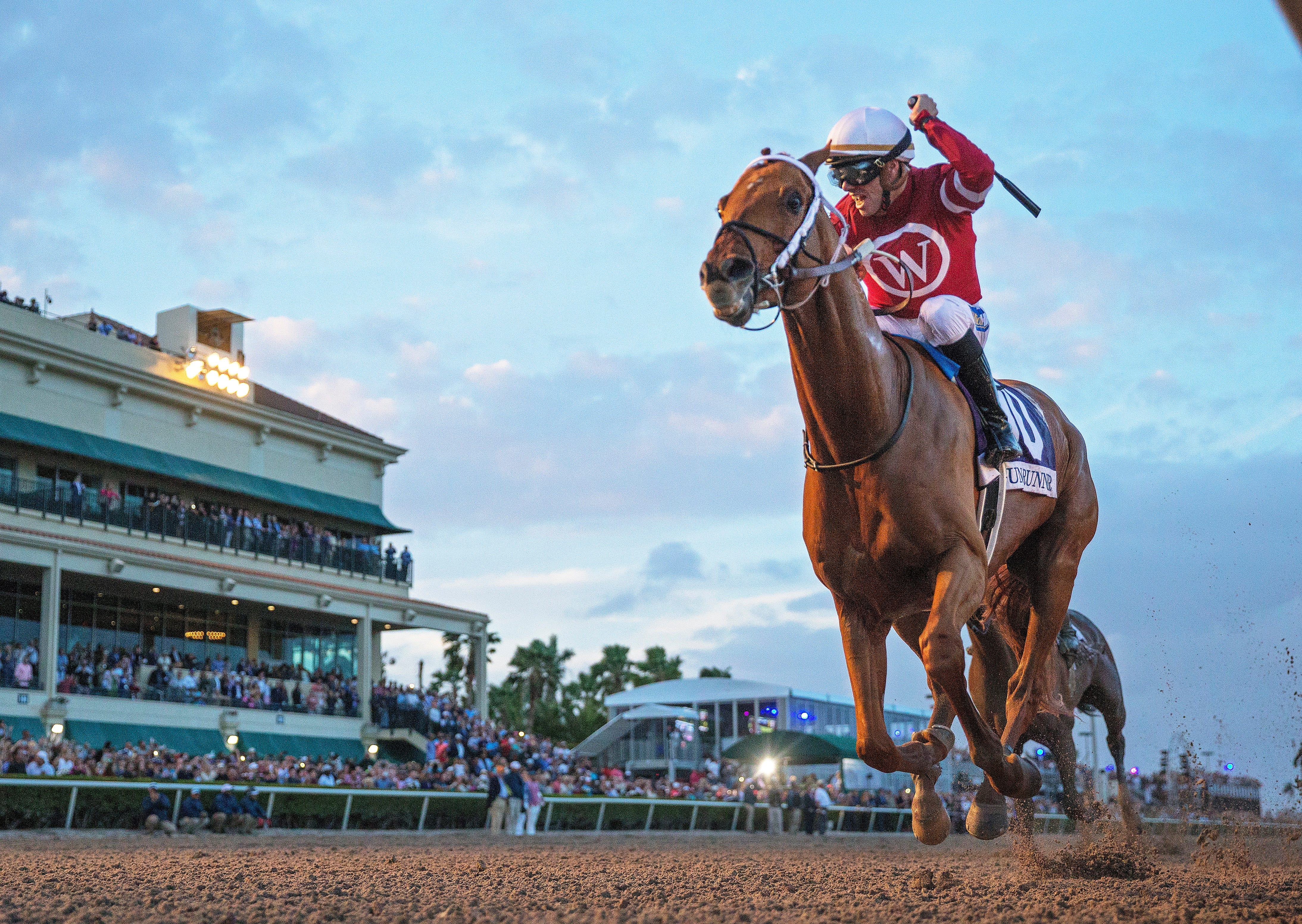 Gun Runner Winx top World s Best Racehorse Rankings